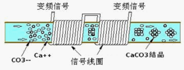 大满贯电玩城下载